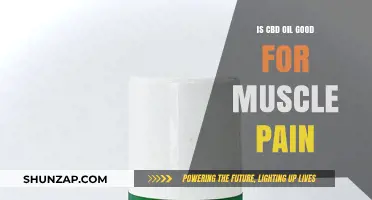 CBD Oil for Muscle Pain: Effective Relief or Just Hype?