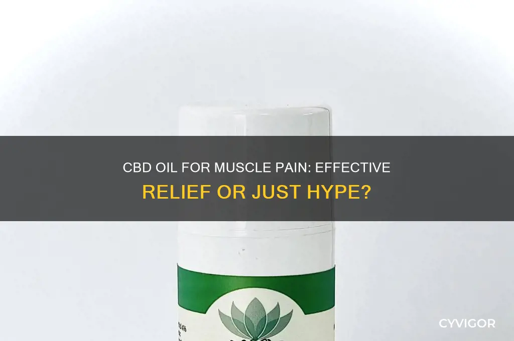 is cbd oil good for muscle pain