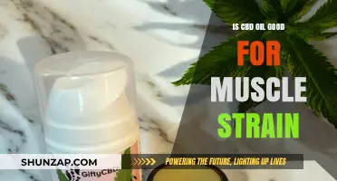 CBD Oil for Muscle Strain: Benefits, Uses, and Effectiveness Explained