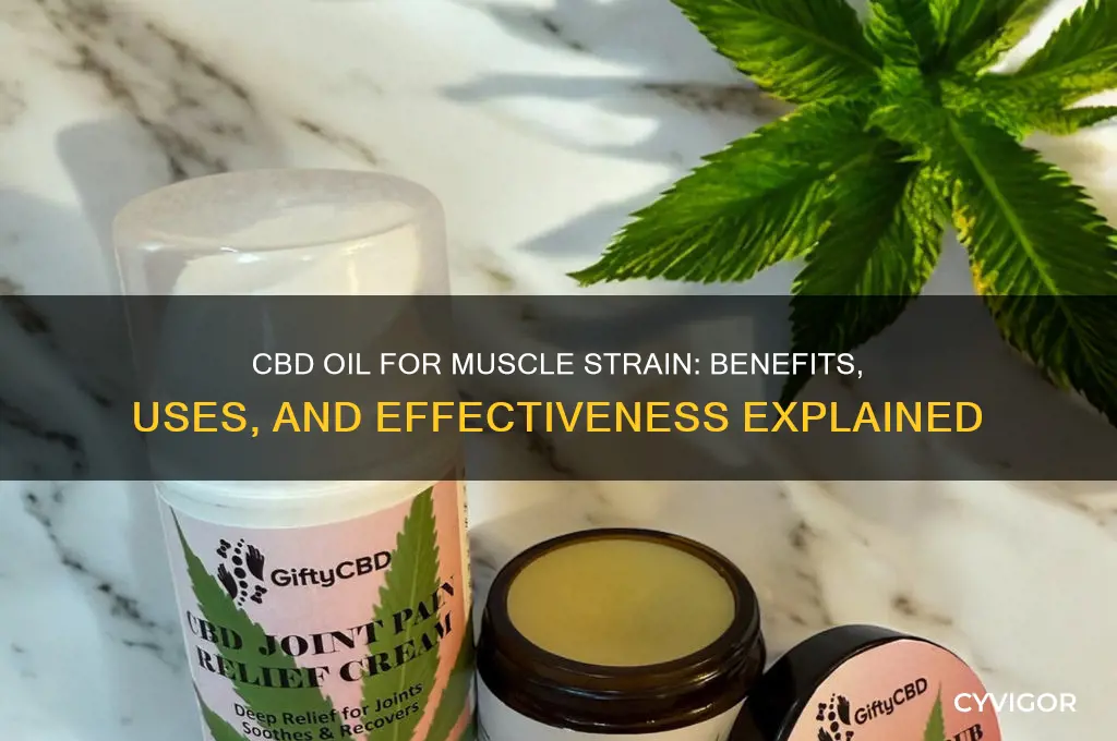 is cbd oil good for muscle strain