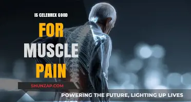 Is Celebrex Effective for Muscle Pain Relief? Exploring Benefits and Risks