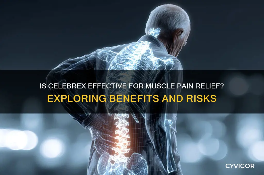 is celebrex good for muscle pain