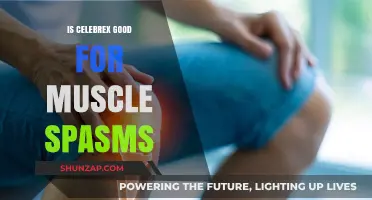 Is Celebrex Effective for Relieving Muscle Spasms? A Detailed Review