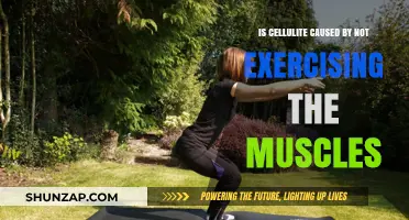 Cellulite: Can Exercise Reduce Its Appearance?