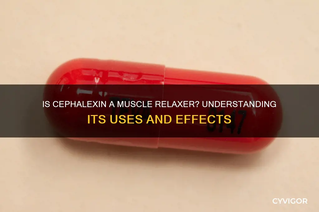 is cephalexin a muscle relaxer