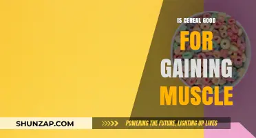 Can Cereal Boost Muscle Gain? Nutrition Facts and Fitness Tips