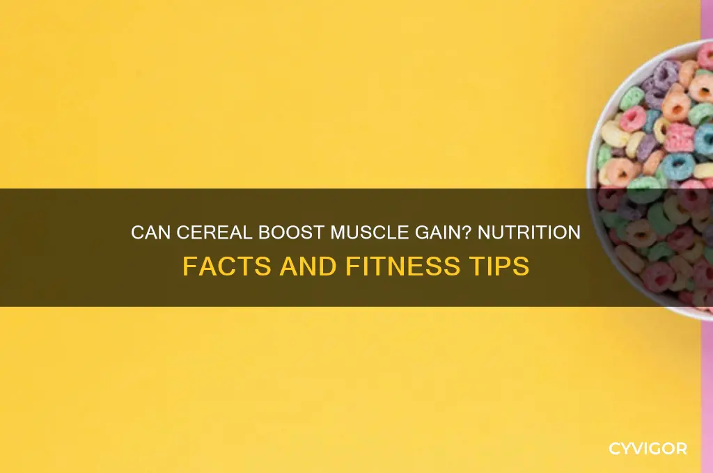is cereal good for gaining muscle