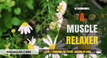 Chamomile's Muscle Relaxing Benefits: Fact or Fiction?