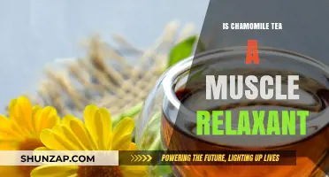 Chamomile Tea: Natural Muscle Relaxant or Just a Soothing Beverage?