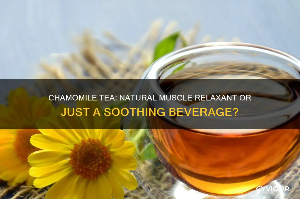 is chamomile tea a muscle relaxant