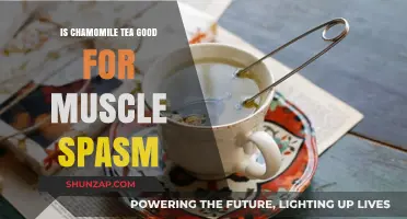 Chamomile Tea Benefits: Can It Relieve Muscle Spasms Effectively?