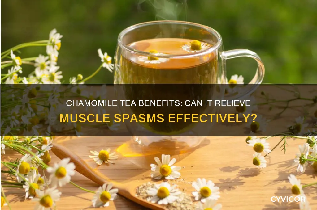 is chamomile tea good for muscle spasm