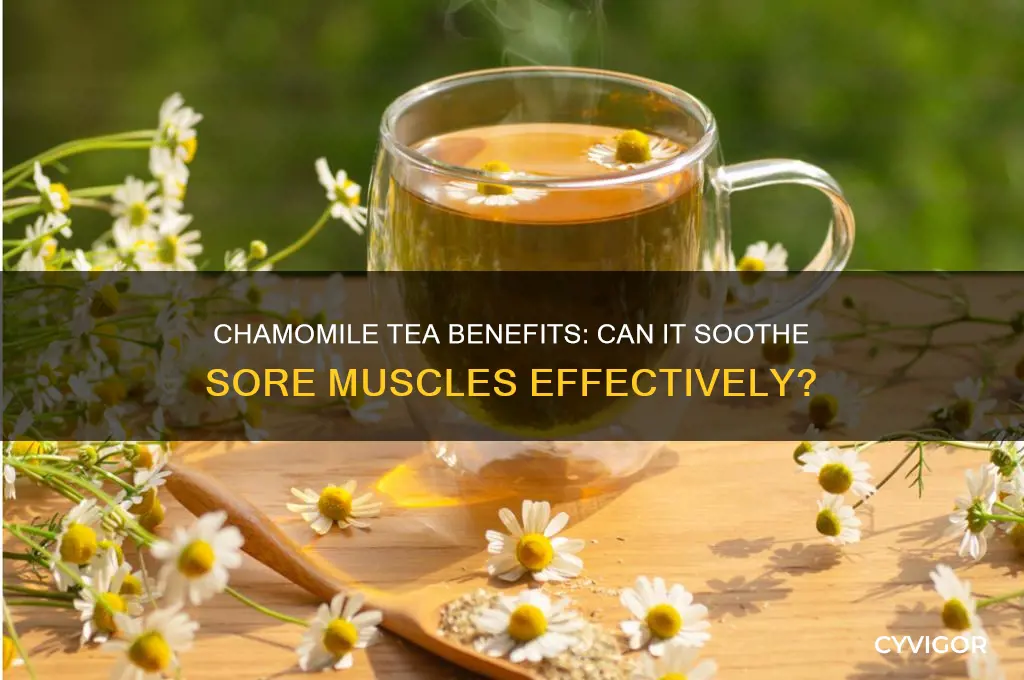 is chamomile tea good for sore muscles