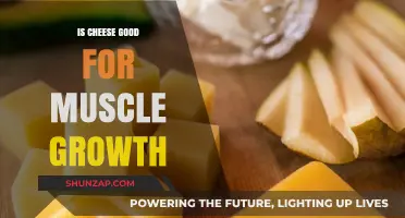 Cheese and Muscle Growth: Unlocking Protein Power for Stronger Gains