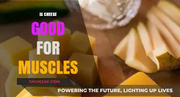 Cheese and Muscle Growth: Unlocking the Benefits for Strength