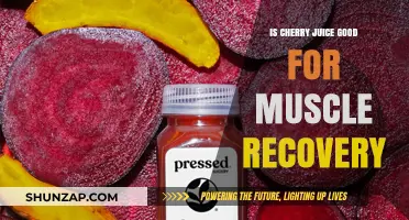 Cherry Juice Benefits: Enhancing Muscle Recovery After Intense Workouts