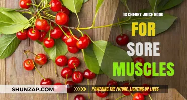 Cherry Juice for Sore Muscles: Natural Recovery Benefits Explained