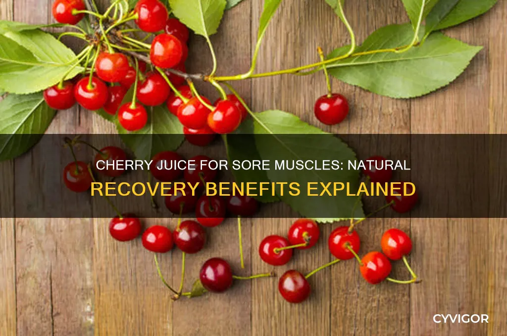 is cherry juice good for sore muscles