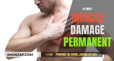 Chest Muscle Damage: Can It Be Repaired?