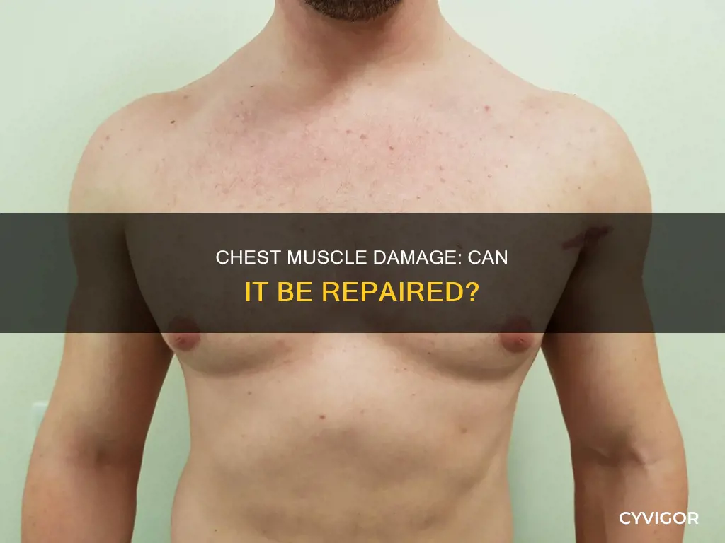 is chest muscle damage permanent