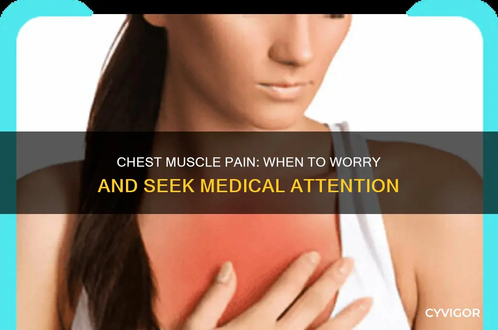 is chest muscle pain dangerous