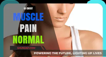 Is Chest Muscle Pain Normal? Causes, Concerns, and When to Seek Help