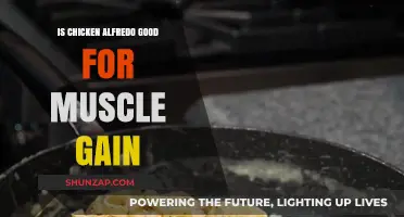 Chicken Alfredo for Muscle Gain: Nutritional Benefits and Considerations