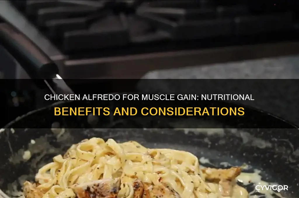 is chicken alfredo good for muscle gain