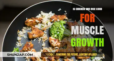Chicken and Rice for Muscle Growth: Benefits and Best Practices