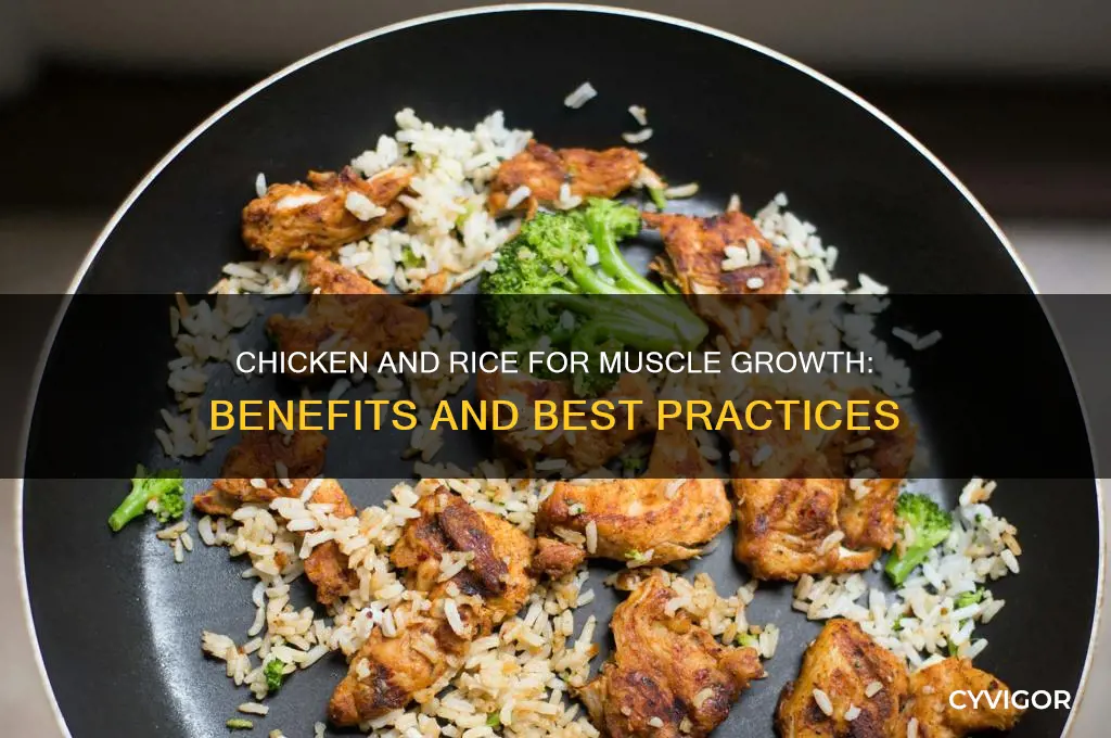 is chicken and rice good for muscle growth
