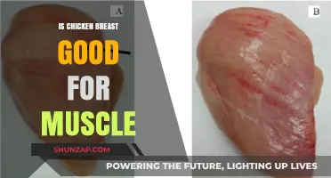 Is Chicken Breast the Ultimate Muscle-Building Food? Find Out!