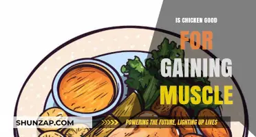 Is Chicken the Ultimate Muscle-Building Food? Unlocking Its Benefits
