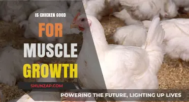 Chicken's Role in Muscle Growth: Benefits and Best Practices