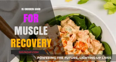 Chicken's Role in Muscle Recovery: Benefits and Best Practices