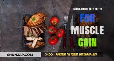 Chicken vs. Beef: Which Protein Source Fuels Muscle Growth Best?