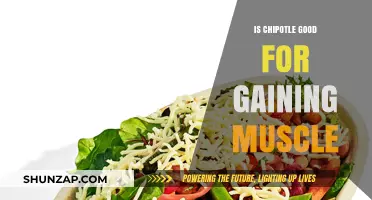 Is Chipotle a Muscle-Building Meal? Nutrition Facts and Tips