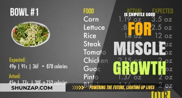 Chipotle for Muscle Growth: A Nutritional Analysis for Fitness Enthusiasts