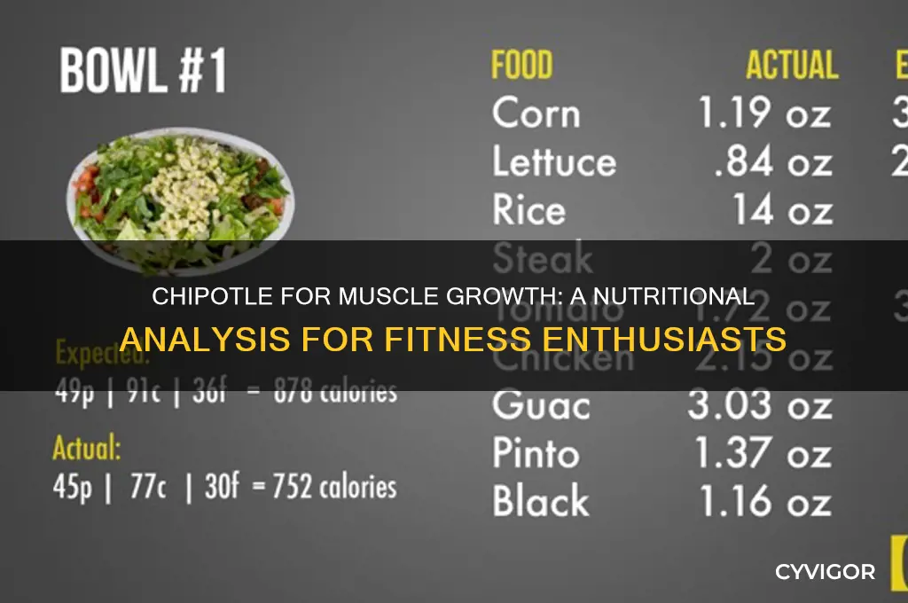 is chipotle good for muscle growth