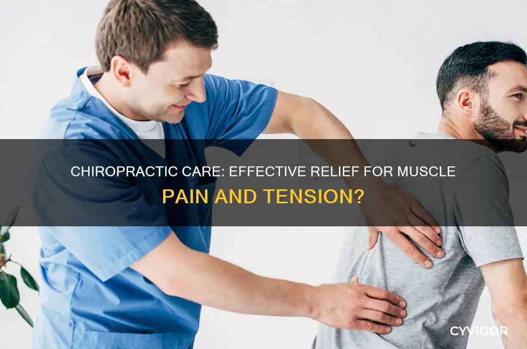 is chiropractic good for muscle pain