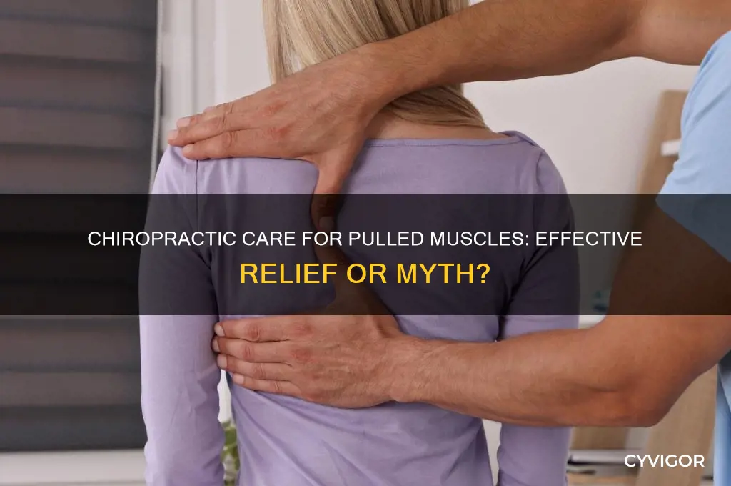 is chiropractic good for pulled muscle