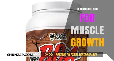 Chocolate and Muscle Growth: Unlocking the Sweet Benefits for Fitness