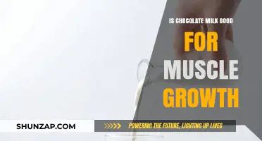 Chocolate Milk's Role in Muscle Recovery and Growth: Fact or Fiction?