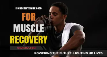 Chocolate Milk Muscle Recovery: Post-Workout Nutrition Myth or Truth?