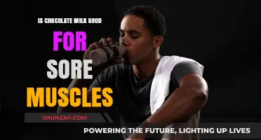 Chocolate Milk for Sore Muscles: Recovery Drink or Myth?
