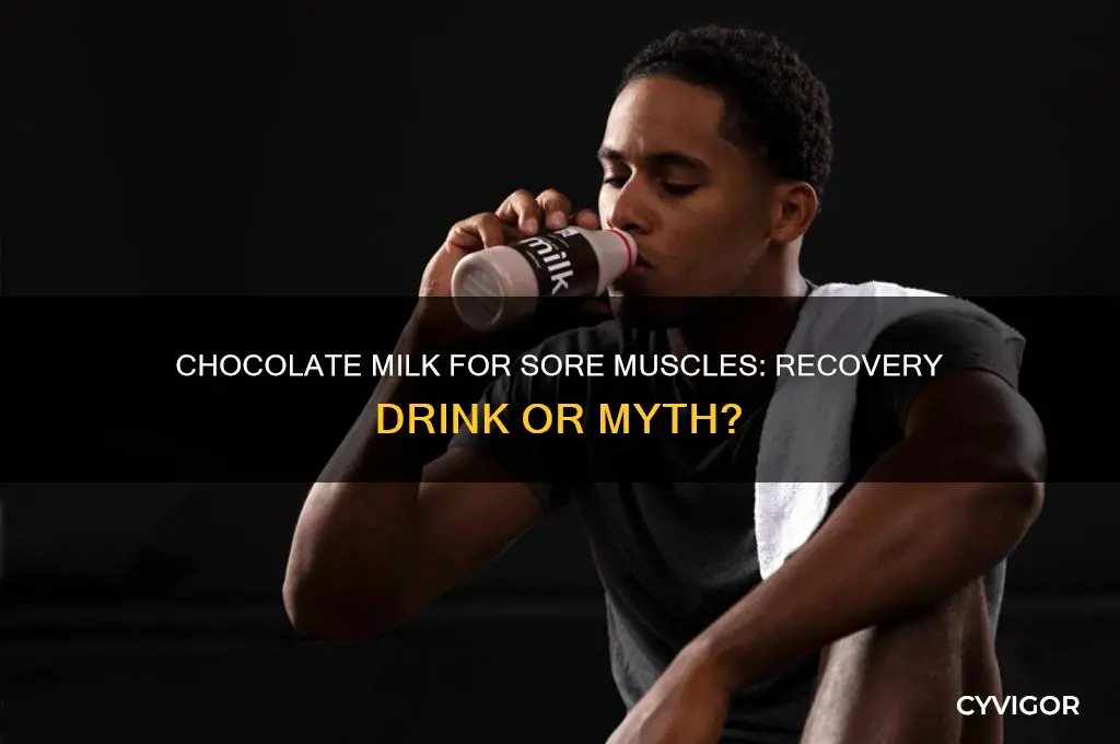 is chocolate milk good for sore muscles
