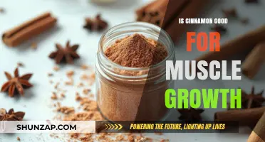 Cinnamon's Role in Muscle Growth: Fact or Fiction?