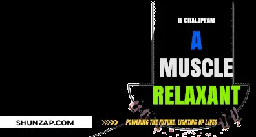 Is Citalopram a Muscle Relaxant? Exploring Its Uses and Effects