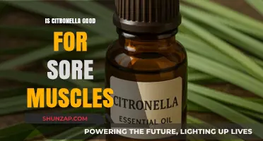 Citronella for Sore Muscles: Natural Relief or Myth?