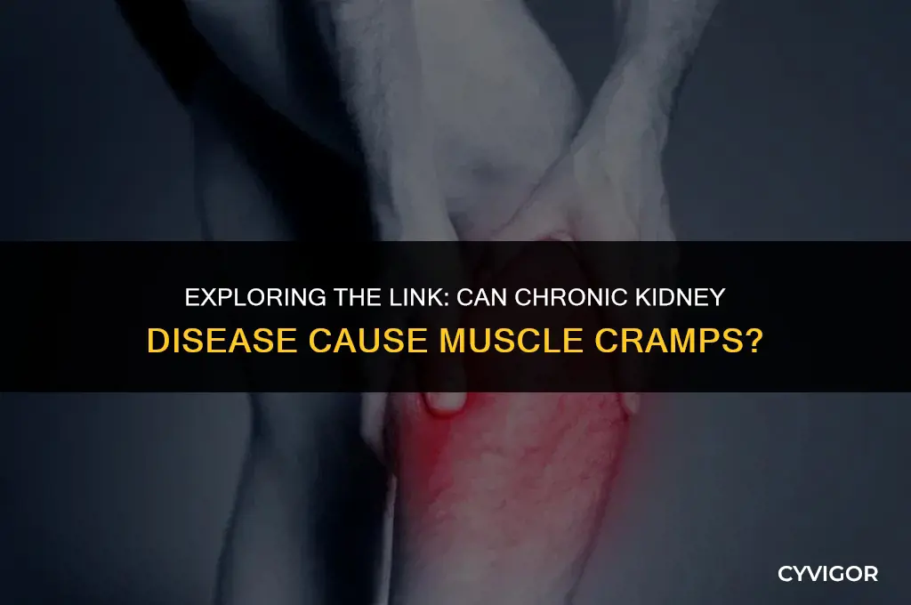 is ckd a couse of muscle cramps