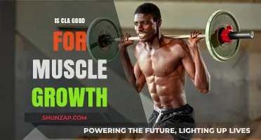 CLA for Muscle Growth: Benefits, Science, and Effective Use